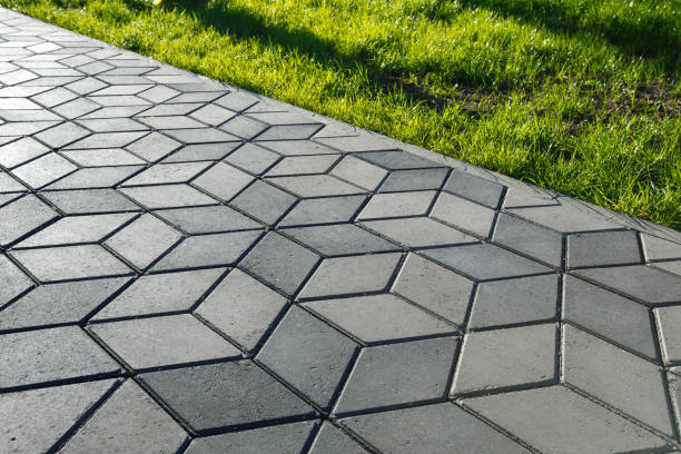Best Driveway Paving Contractor  in Dolton, IL